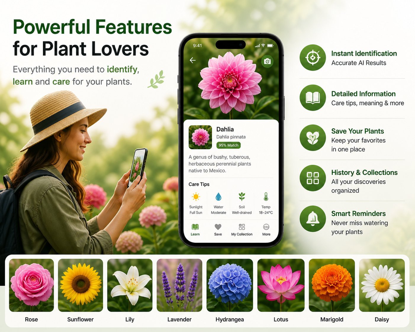 Common backyard flowers — rose, sunflower, lily, lavender, hydrangea, lotus, marigold, daisy